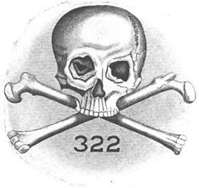 Skull and Bones logo image